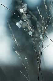 高能电玩节：《蛮荒志异：起源》新宣传视频