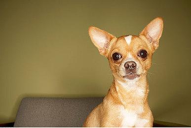 《灵魂骇客2》最新宣传影片现已公开！